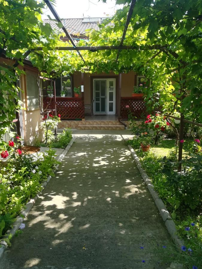 Casa Badea Hotel Murighiol Bagian luar foto