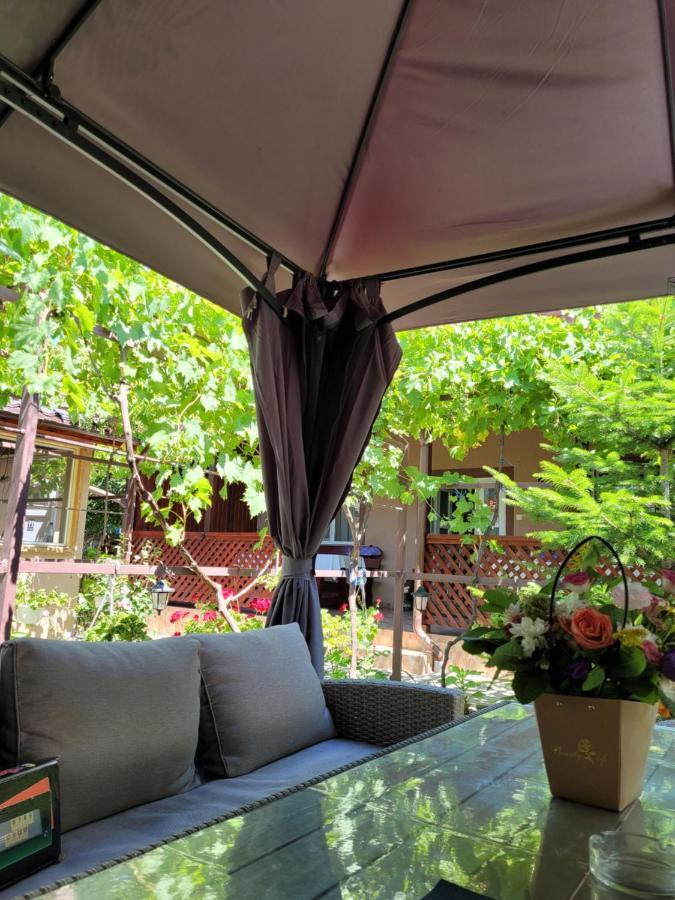 Casa Badea Hotel Murighiol Bagian luar foto