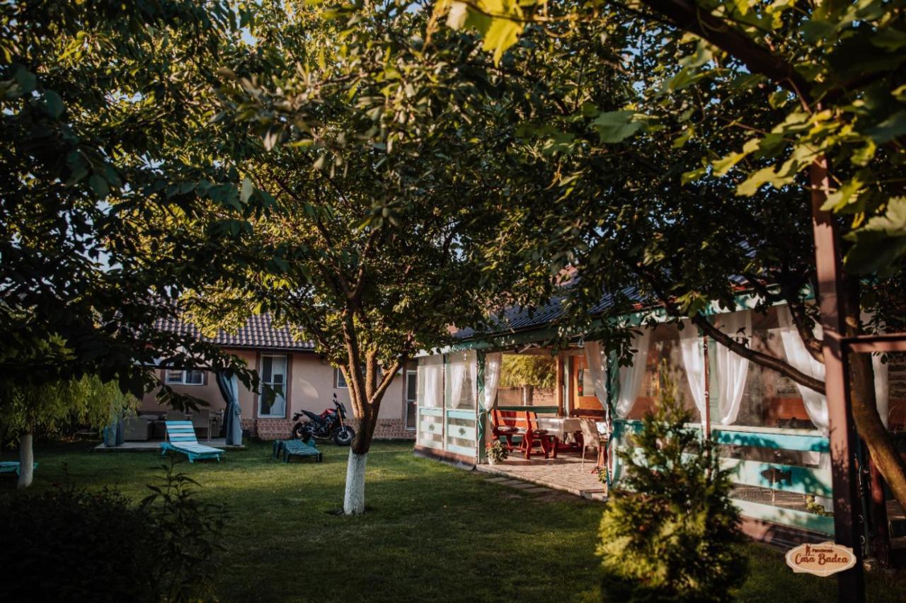 Casa Badea Hotel Murighiol Bagian luar foto