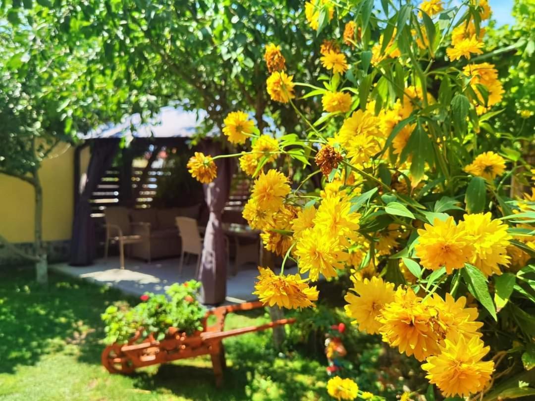 Casa Badea Hotel Murighiol Bagian luar foto